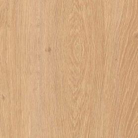 KASTAMONU BLUE 33 кл 8мм  Дуб Алжирский кремовый P041