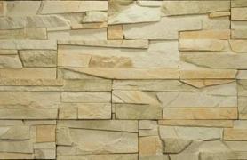 Тонкий Пласт №207