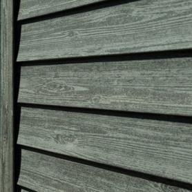 Ель ирландская