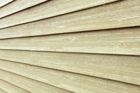 Ель балтийская