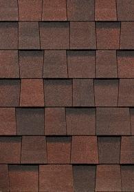 Зрелый каштан