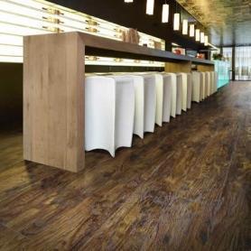 Eastern Hickory 57885